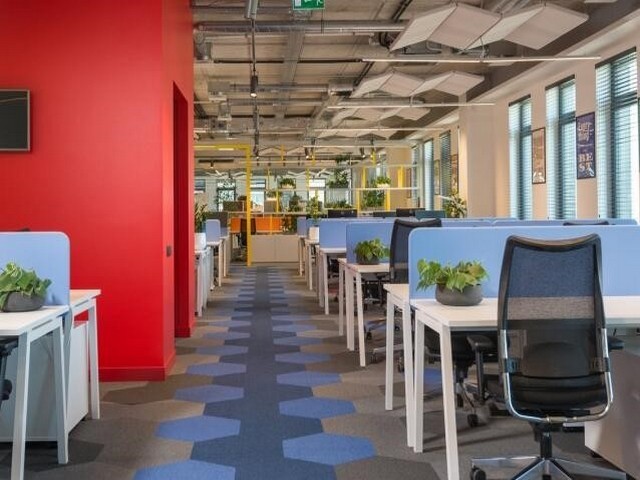 生产工业烤箱厂家